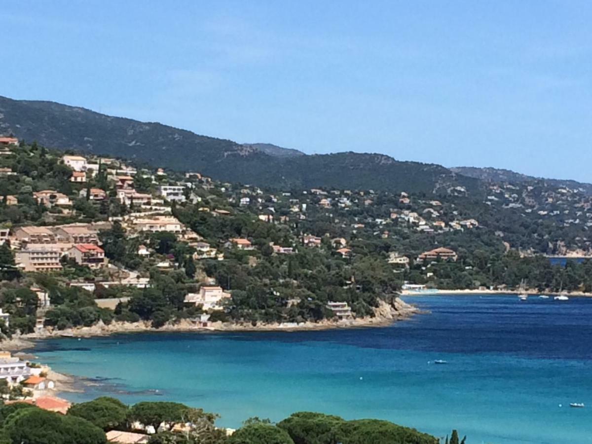 Appartement Altair Le Lavandou Εξωτερικό φωτογραφία