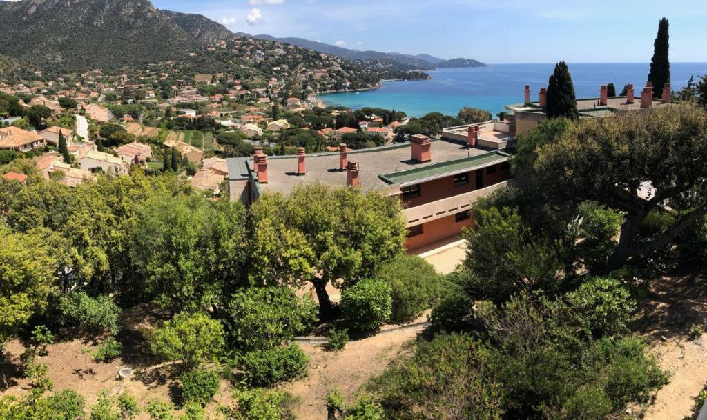 Appartement Altair Le Lavandou Εξωτερικό φωτογραφία