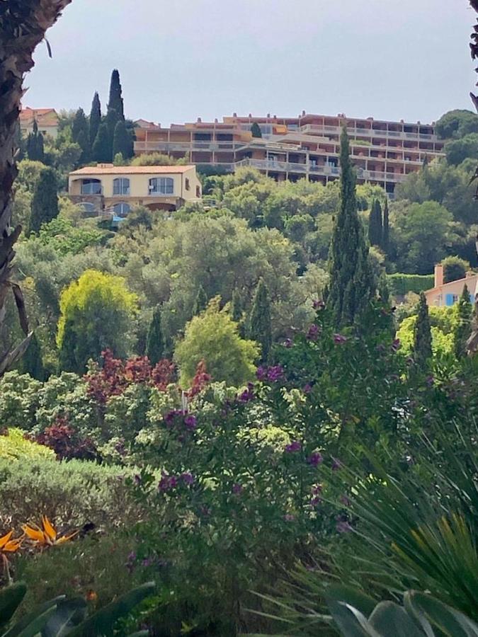 Appartement Altair Le Lavandou Εξωτερικό φωτογραφία